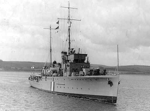 HMS   Salamander