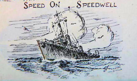 Speed On Speedwell